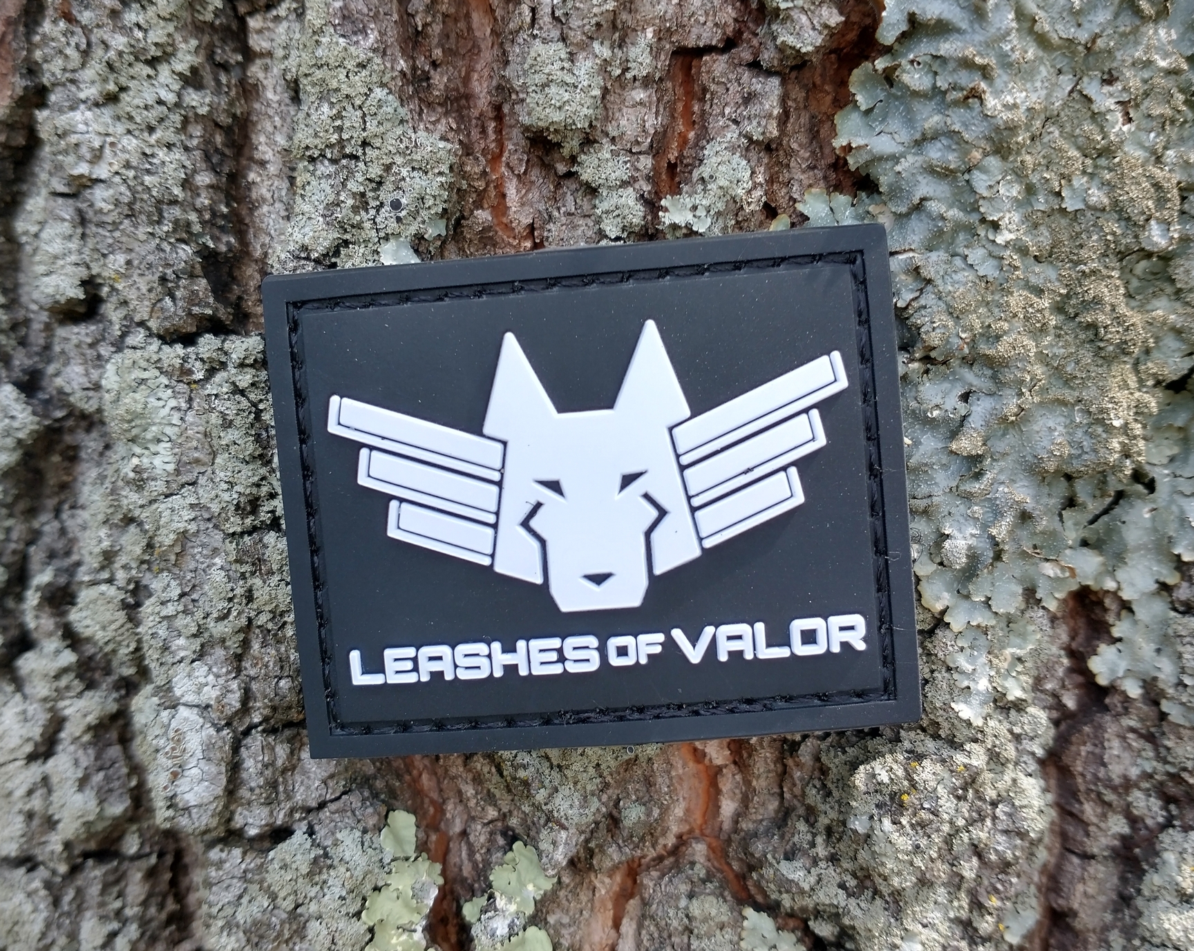 Team Valor - Parche Morale Tags bordado con velcro (negro)