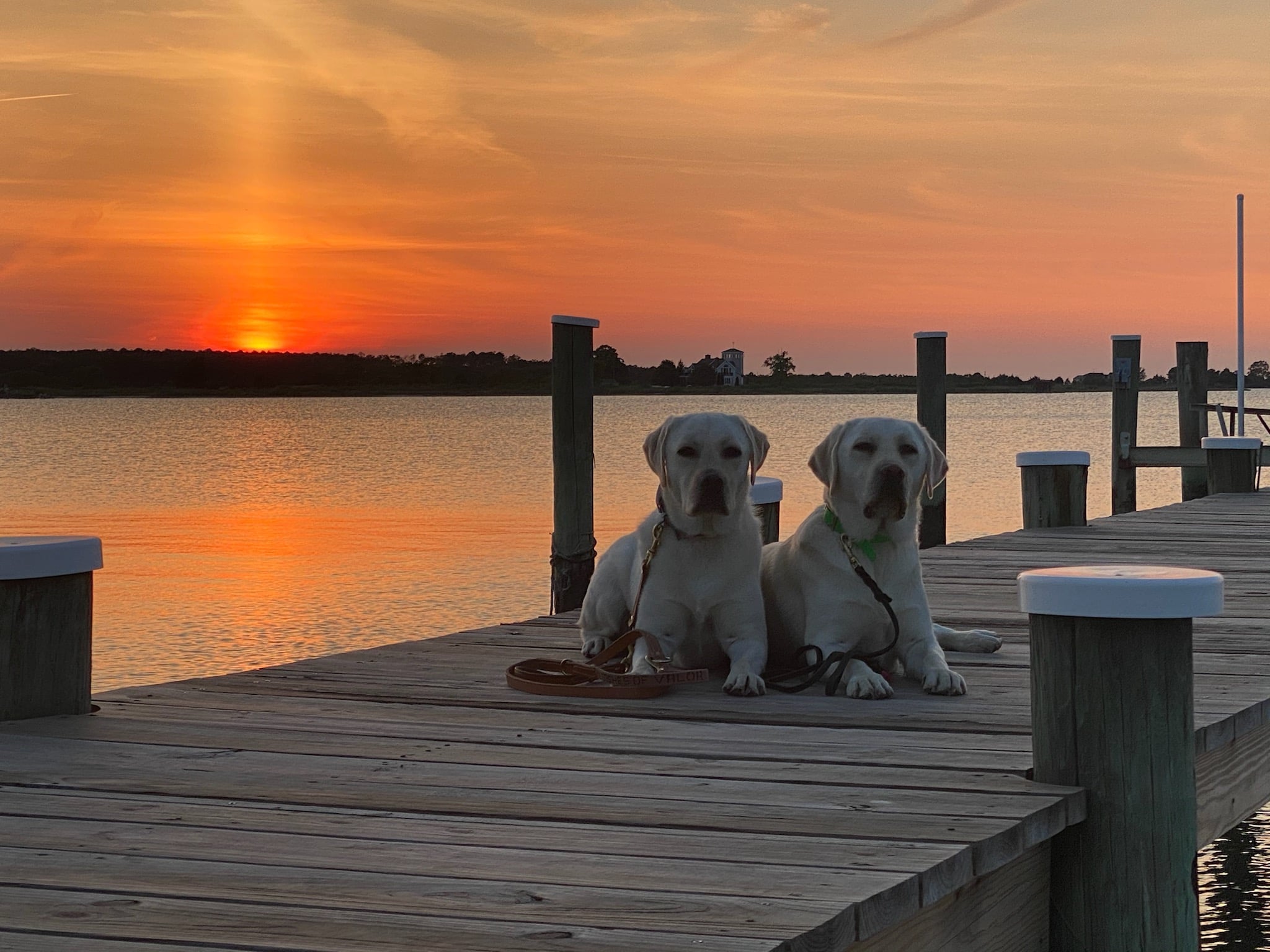 Leashes of Valor Welcomes 3 New Warriors to Patriot Point