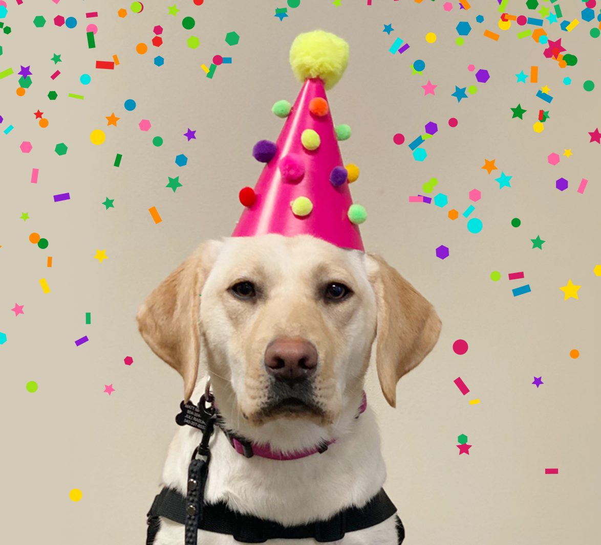 Leashes of Valor Day of Service and Celebration Leashes Of Valor