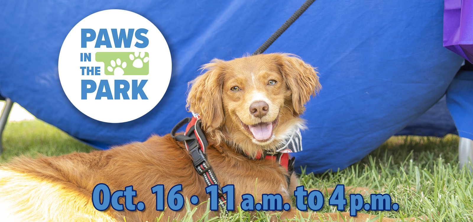 Paws in the Park - Leashes Of Valor