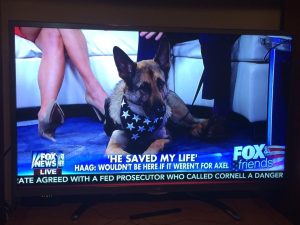 Service dog Axel was featured on more than 50 news outlets in his lifetime, including Fox & Friends.